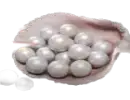 3,000 Echo Beads