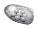 600 Echo Beads
